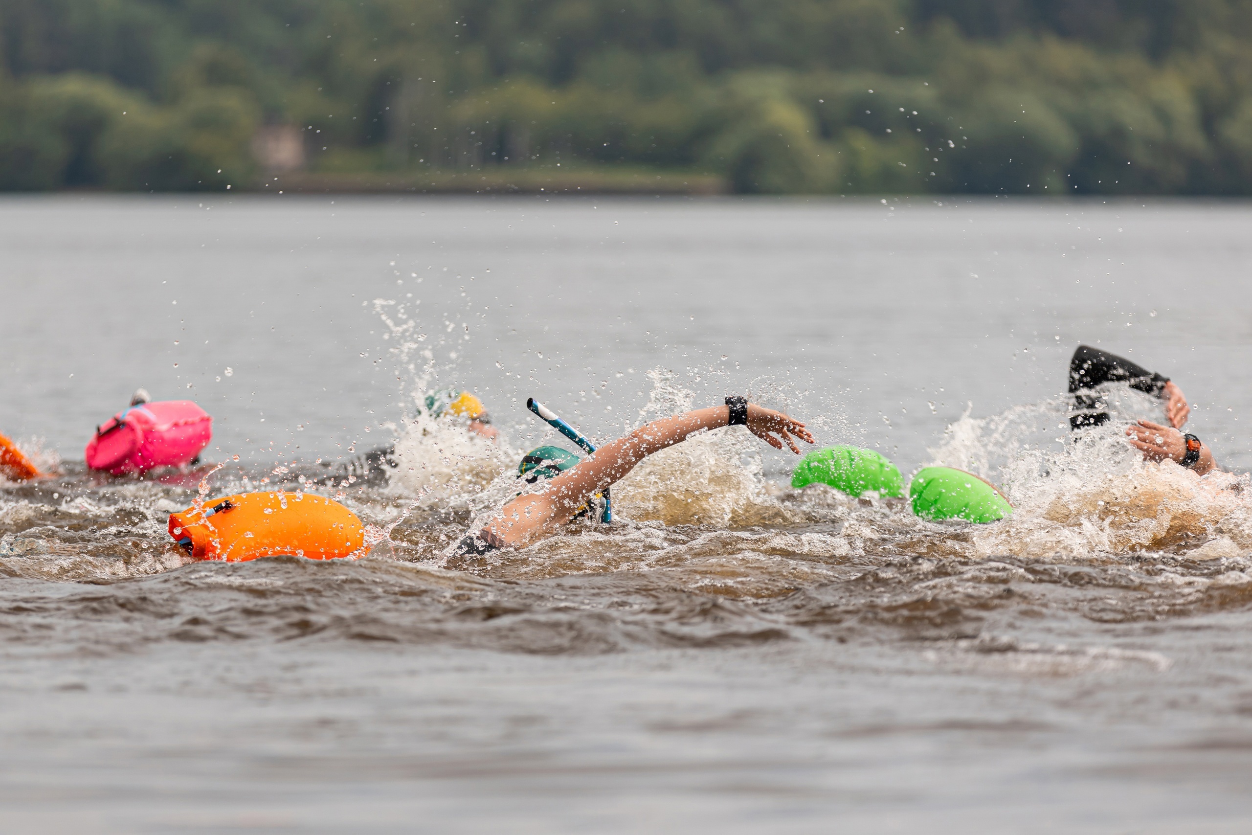 Соревнования по плаванию «Swimcup» в Ивановской области продлятся два дня |  Новости города Иваново и Ивановской области