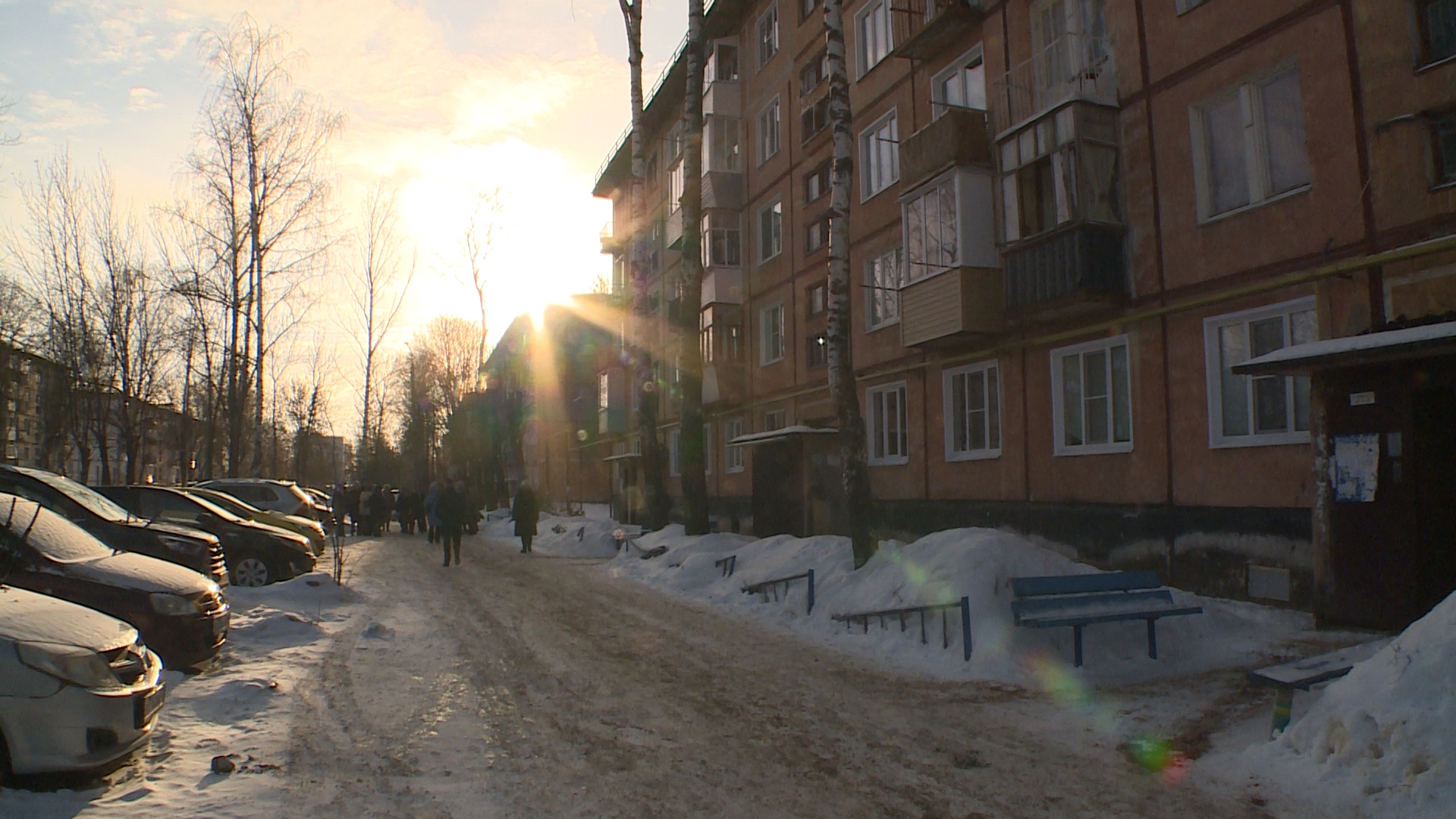 В Тейкове продолжают замерзать «Красные сосенки» | Новости города Иваново и  Ивановской области