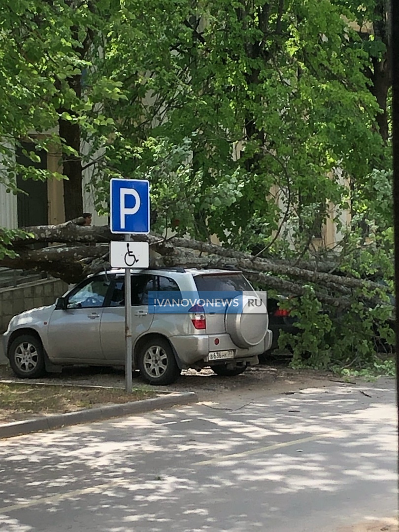 Еще одно упавшее дерево повредило сразу три машины | Новости города Иваново  и Ивановской области