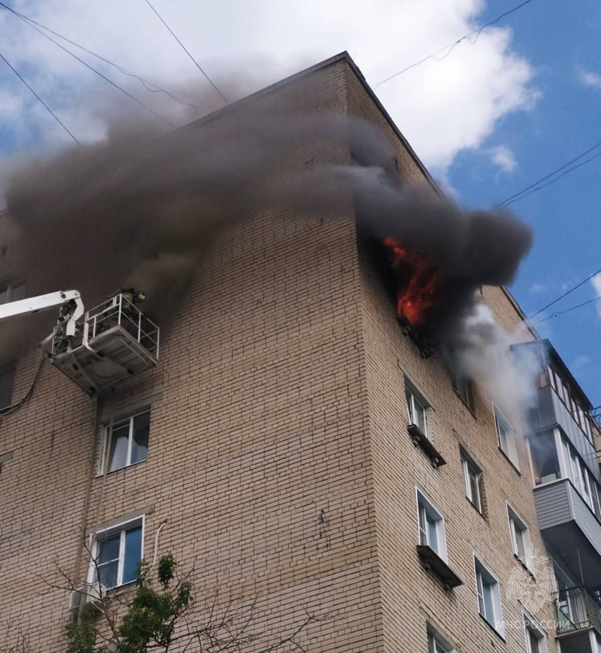 В Иванове во время пожара в квартире погибли мужчина и собака | Новости  города Иваново и Ивановской области