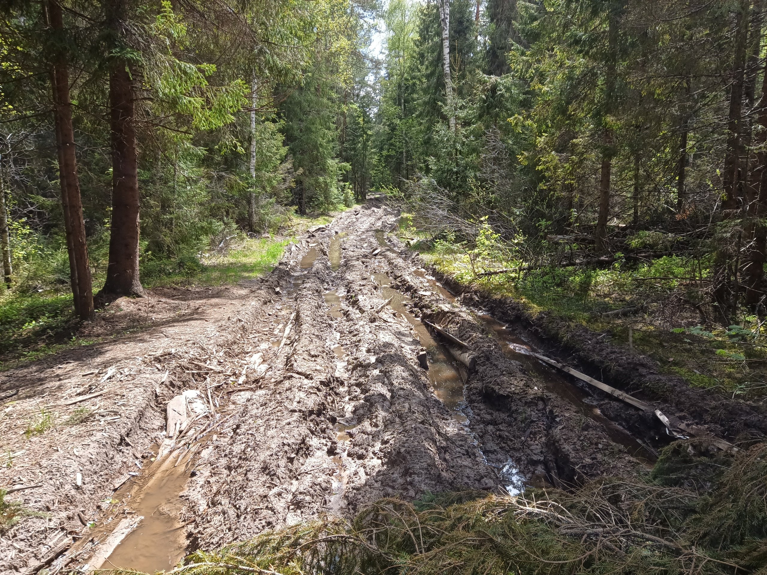 Куннилингус для старой дамы с принуждением (63 фото) - порно и фото голых на теплицы-новосибирска.рф