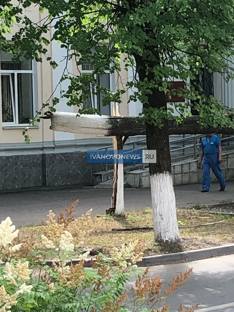 Еще одно упавшее дерево повредило сразу три машины | Новости города Иваново  и Ивановской области