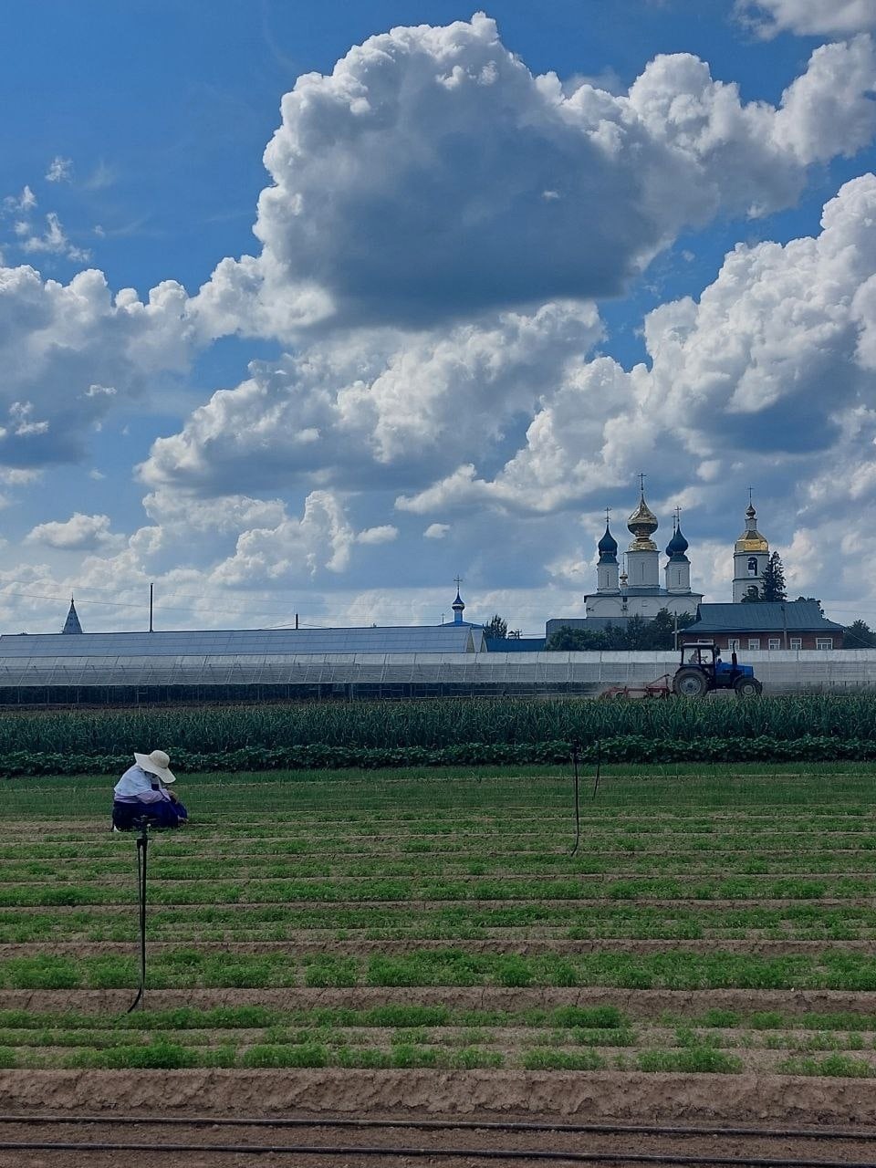 Николо-Шартомский монастырь просит помочь с прополкой моркови и свеклы |  Новости города Иваново и Ивановской области