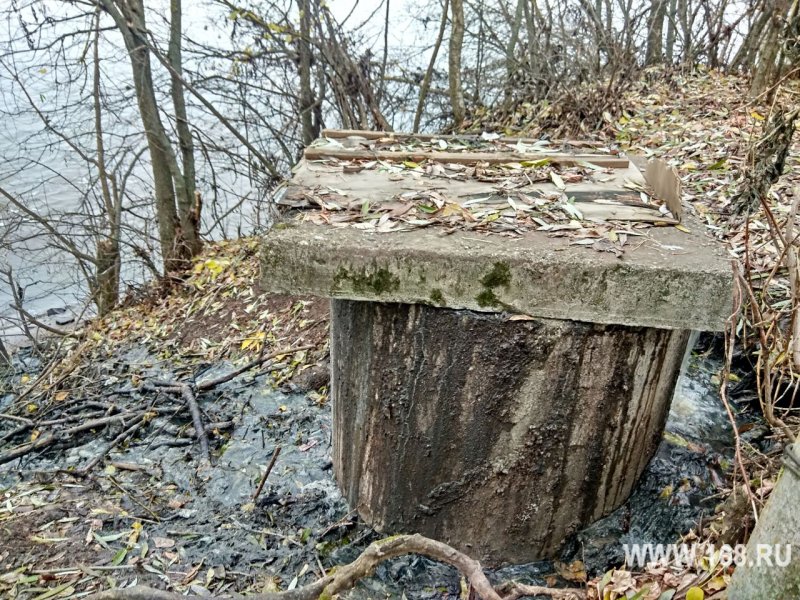 Свияга впадает в волгу